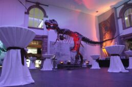 ueberraum event locations frankfurt