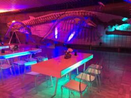 ueberraum event locations frankfurt