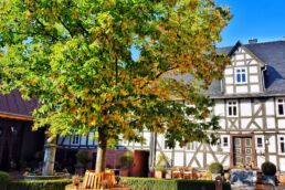 Hofgut-Event-RheinMainGebiet3