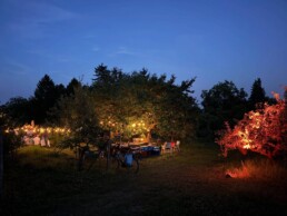 Erleuchtete Apfelplantagen am Abend