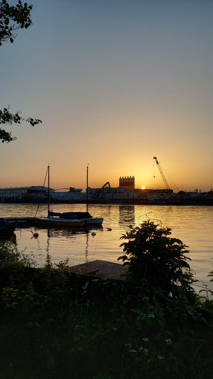 sommer am mainufer